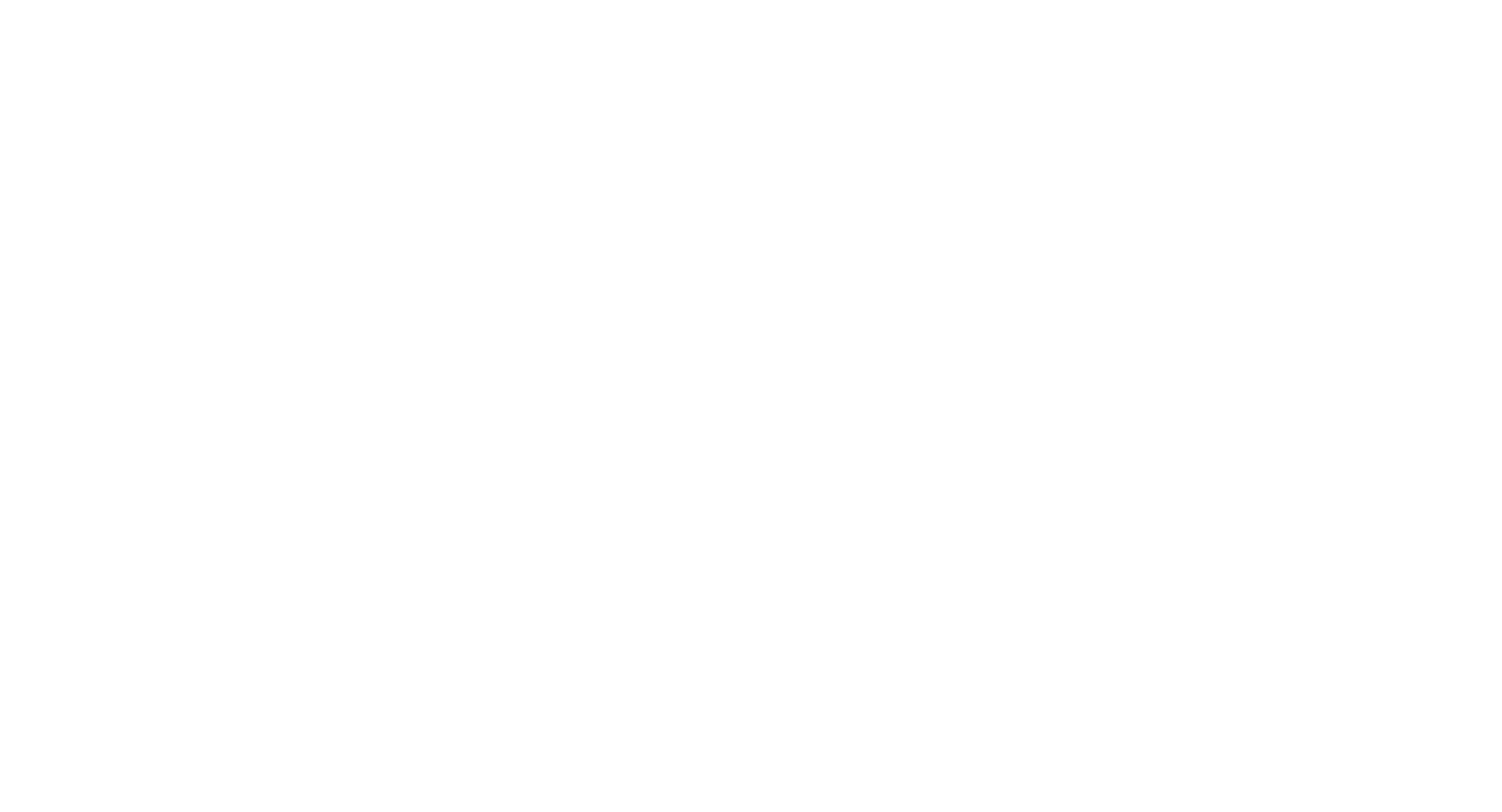 bird-logo